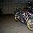 VFRippe